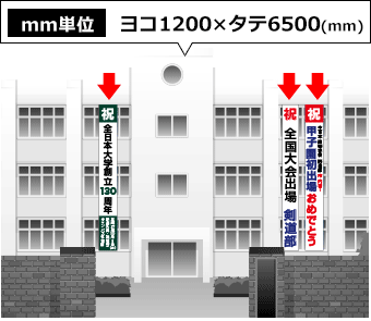 ヨコ1200mm×タテ6500mm